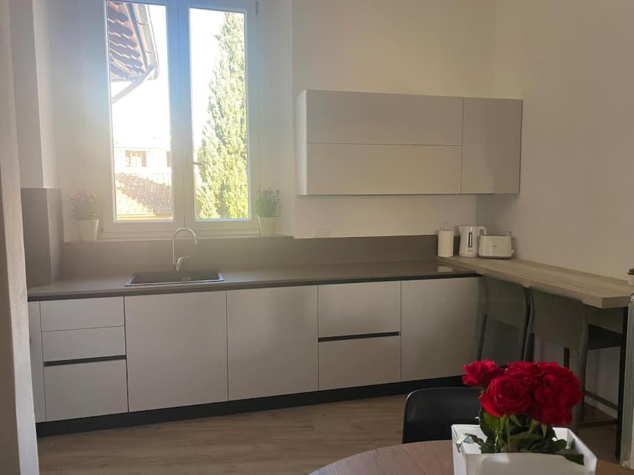 Micheli Apartment Firenze Eksteriør billede