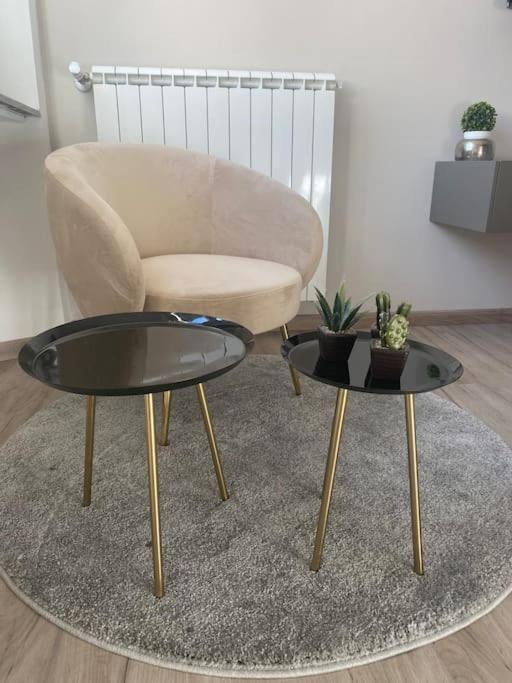 Micheli Apartment Firenze Eksteriør billede